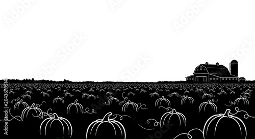 Photos A vast field filled with numerous ripe orange pumpkins ready for harvest