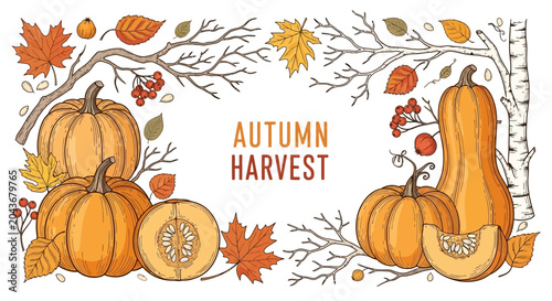 Hand drawn autumn harvest illustration with pumpkins and fall leaves.