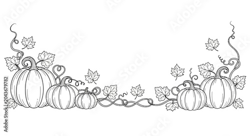 Hand drawn pumpkin border illustration with autumn leaves and vines.