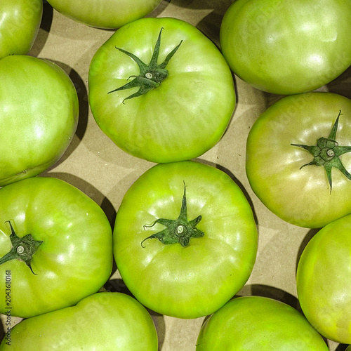 Fresh Green Tomatoes in Packing Carton Ready for Cooking