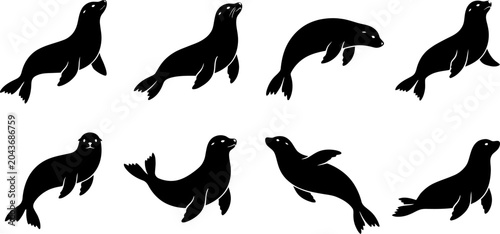 Cuadro en lienzo Collection of black sea lion silhouettes showing playful and swimming poses isol