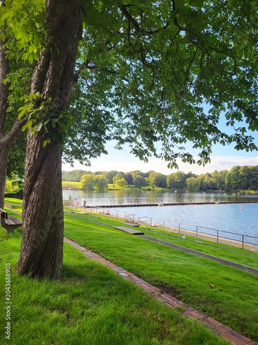 lake and trees