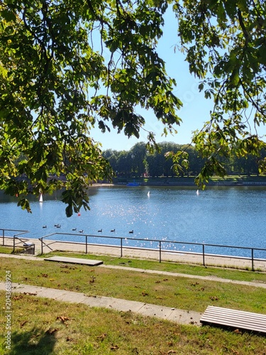 A lake on a sunny day, framed by a multitude of green trees, Hamburg