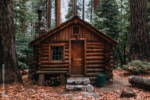 Charming Rustic Hunting Lodge Nestled Among Towering Pines and Warm Earth Tones, Inviting Adventurers to Embrace Nature's Splendor
