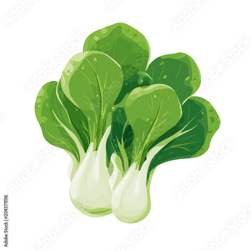 Fotografía 2D minimalist flat vector of a Pak Choi, contemporary clean design isolated on white