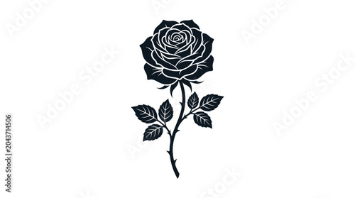 Black and white single rose flower.