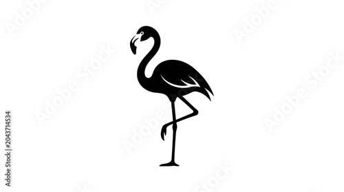 Black Flamingo Bird Silhouette Standing Alone.