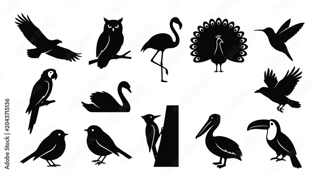 Obraz premium Bird Silhouette Set – 12 Species Black Vector Clipart Collection