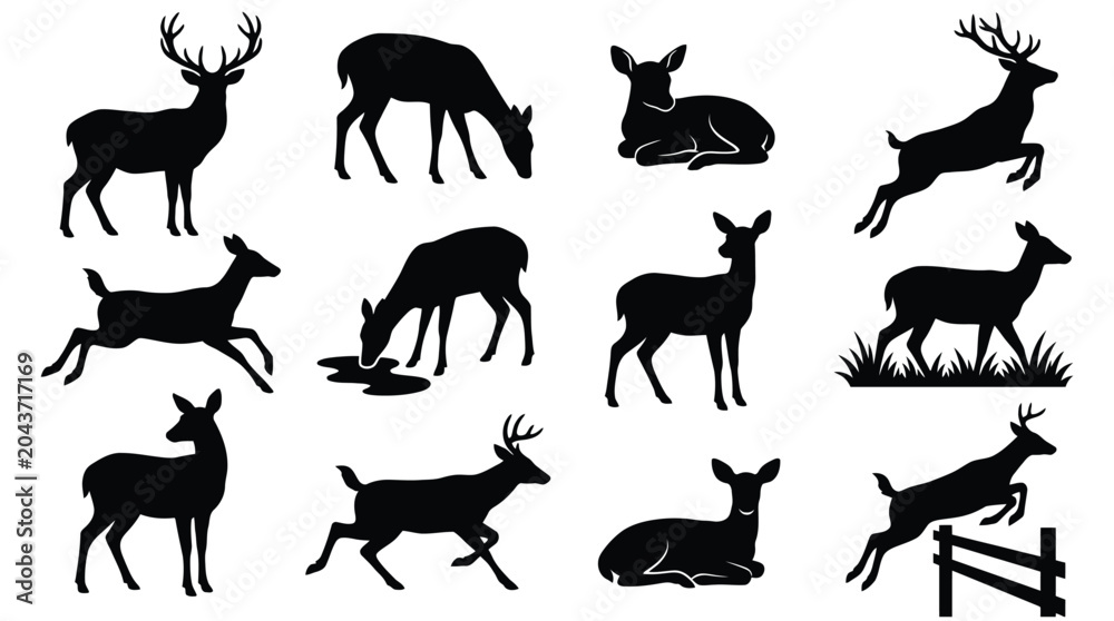 Fototapeta premium Deer Silhouette Set – 12 Poses Black Vector Clipart Hunting Collection