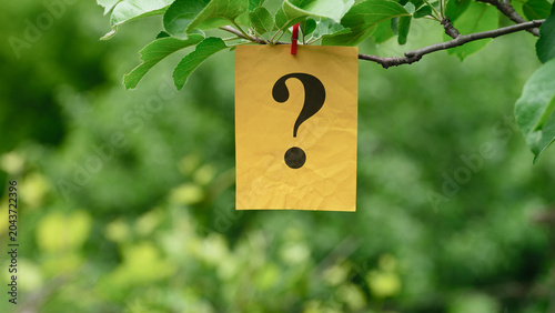 A yellow note with the Question mark on it clipped to a green tree branch. Close up.