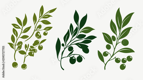 Three stylized olive branch illustrations with leaves and fruit, rendered in different shades of green