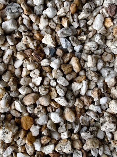 Close-up of small white and tan pebbles