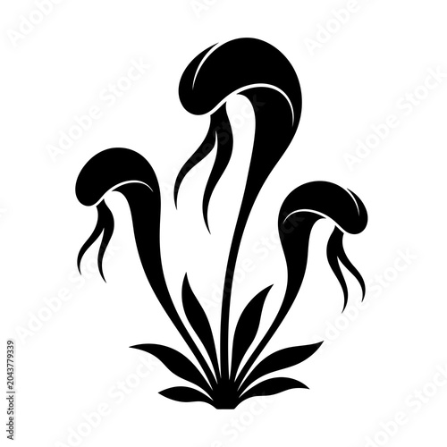 Cobra Lily Flower Vector Illustration | Exotic Carnivorous Botanical Artwork | Unique Wild Plant Design