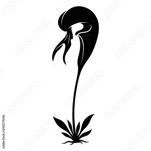 Cobra Lily Flower Vector Illustration | Exotic Carnivorous Botanical Artwork | Unique Wild Plant Design