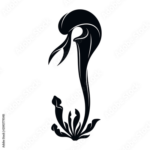 Cobra Lily Flower Vector Illustration | Exotic Carnivorous Botanical Artwork | Unique Wild Plant Design