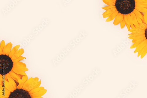 Frame made of sunflowers on a gray background. Place for text.