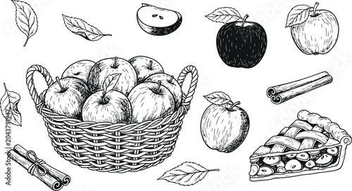 Photos Vintage apple illustration set with basket whole fruits slice cinnamon sticks an