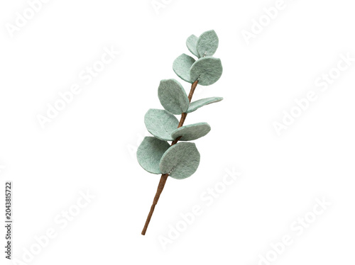 Eucalyptus Felt Branch on White Linen Background for Minimal Home Decor and Craft Photography