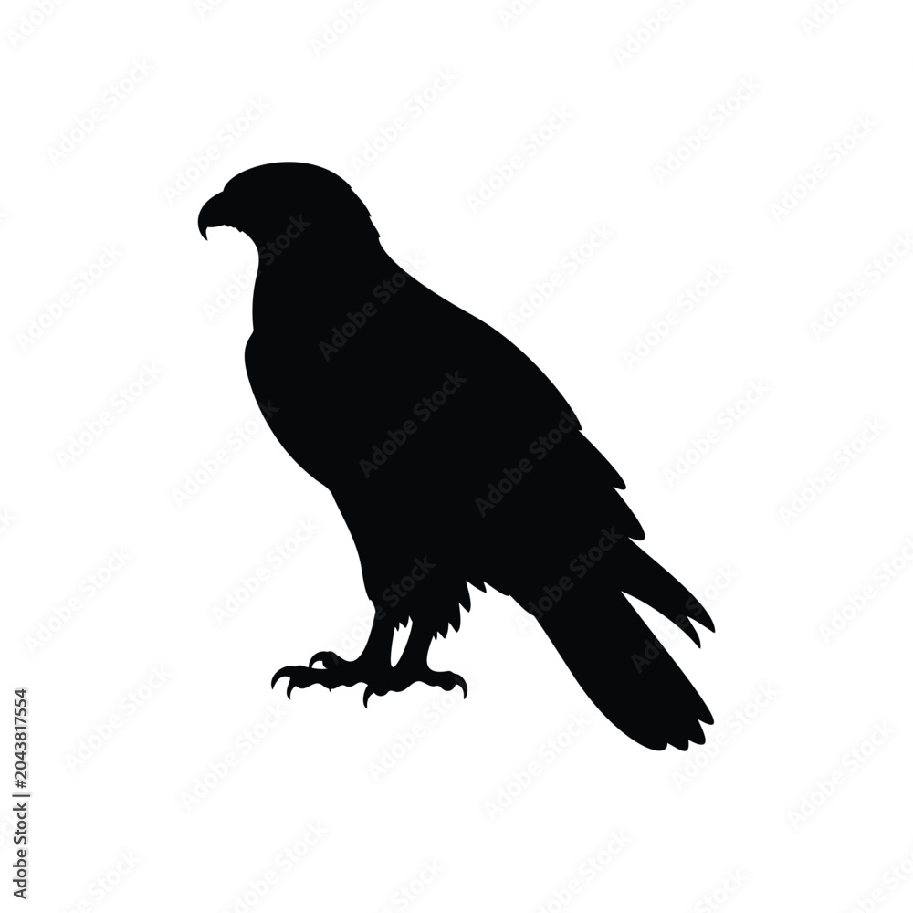 Fototapeta premium Hawk silhouette vector flat illustration design.