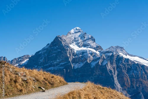 Winding gravel hiking trail crossing autumn alpine meadow towards majestic snow peaks. Grindelwald First, Switzerland.