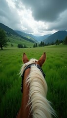 Rider view from horse back over lush green field to distant mountains under cloudy sky. Horse mane blows in wind. This photo shows peaceful nature, outdoor activity, exploration, and freedom.