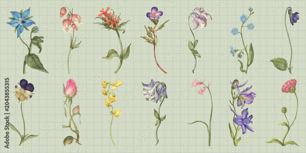 Obraz premium Vector of delicate watercolor flowers on a grid background, showcasing various blooms.