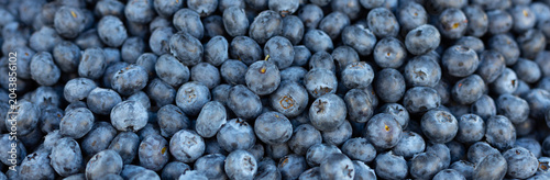  Blueberry berry texture or pattern. Banner. Heap of fresh and raw Blueberries or bilberries, huckleberry background.