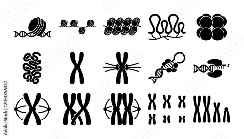Tableau sur toile Scientific chromosome and DNA structure icons, 15 genetics vector elements, mole