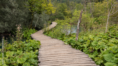 Fényképezés Curving wooden boardwalk through wetland in Plitvice Lakes National Park, Croati