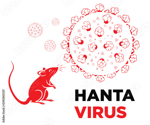 hantavirus disease infection vector