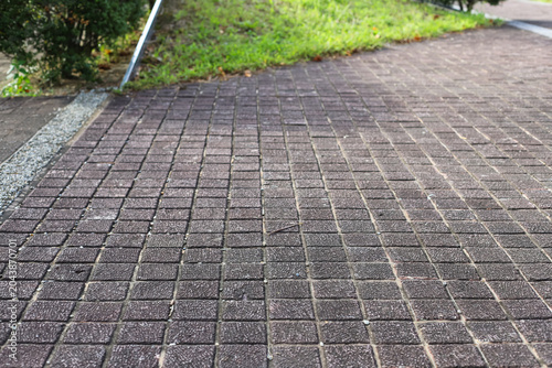 A paved walkway made of small brown rectangular bricks in a grid pattern, bordered by green grass and shrubs along the edge.