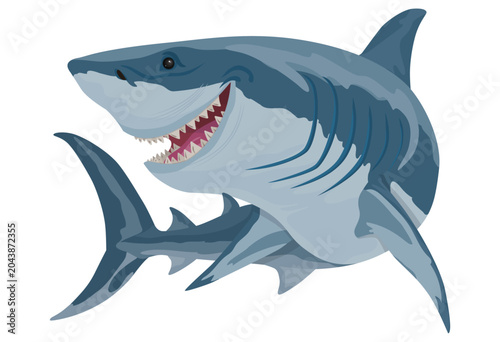 Photos Great White Shark