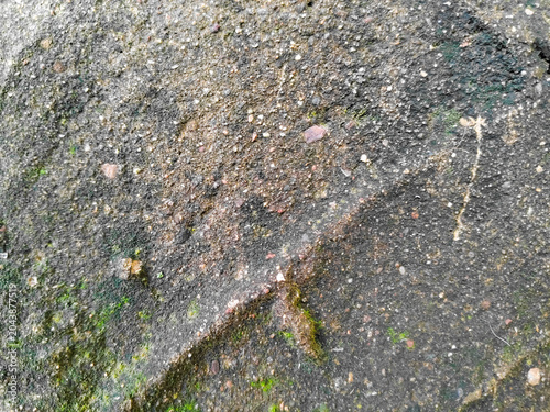 the cement floor is mossy because it is always exposed to rainwater
