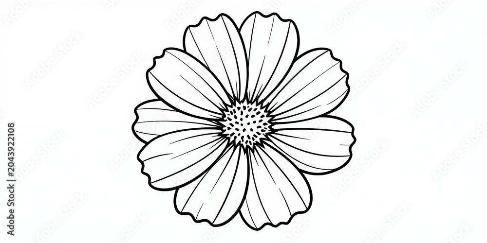 Obraz premium Simple line drawing illustration of a cosmos flower. Black outlines define petals and center. Ideal for design, coloring pages, and botanical art.
