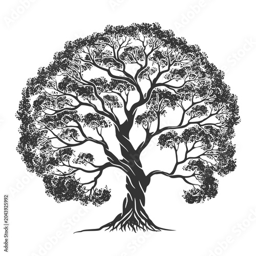 Vintage oak tree vector illustration, majestic detailed tree of life with twisting trunk and branches for nature and heritage logo design.