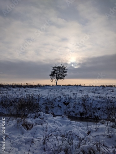 Snowy winter landscape with a lone tree under a cloudy sky at sunset