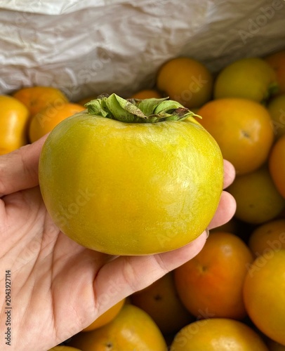 Obraz na plátne Close up of a hand holding a fresh persimmon fruit showing its green calyx with blurred background