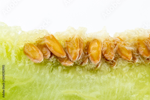 Photography Nanhui Yugur Melon Specialty Fruit from Nanhui District, Shanghai, China