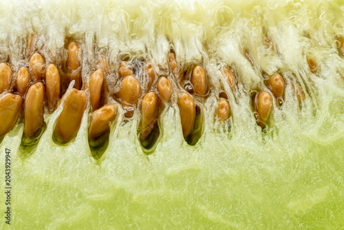 Photography Nanhui Yugur Melon Specialty Fruit from Nanhui District, Shanghai, China