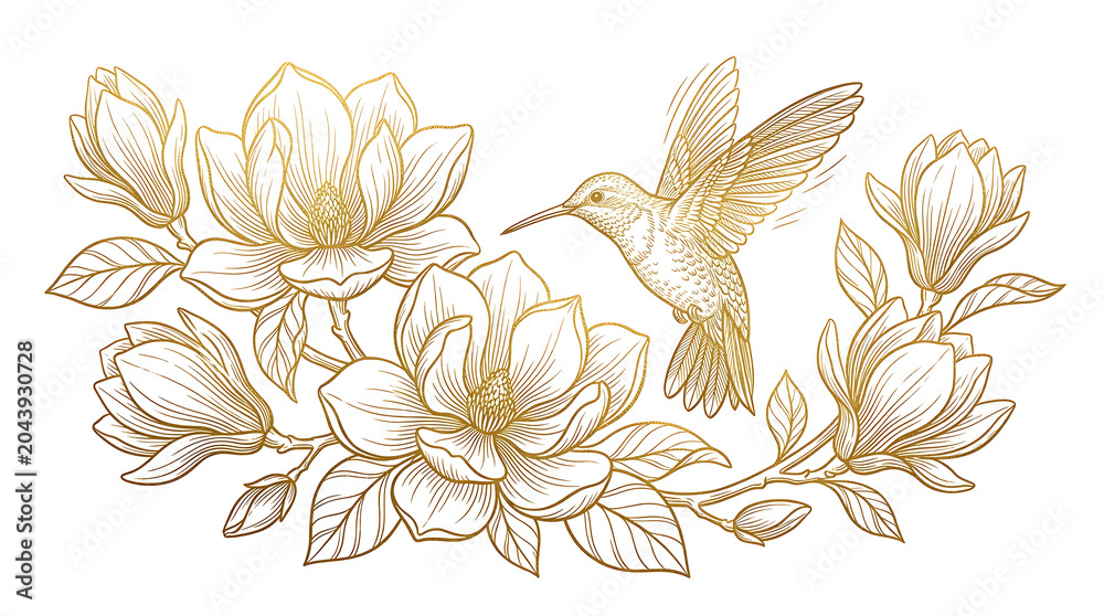 Fototapeta premium Hummingbird hovering near magnolia blossoms in elegant gold line art illustration
