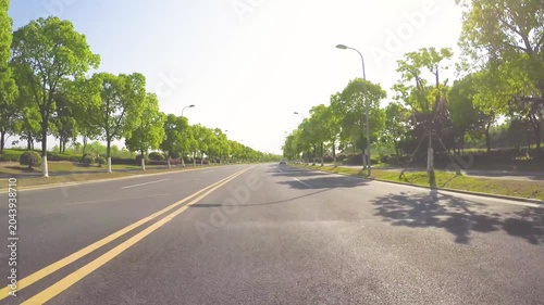Empty Tree-Lined Urban Road in Bright Daylight
