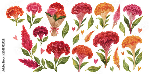 Fotografía cockscomb flowers watercolor illustration