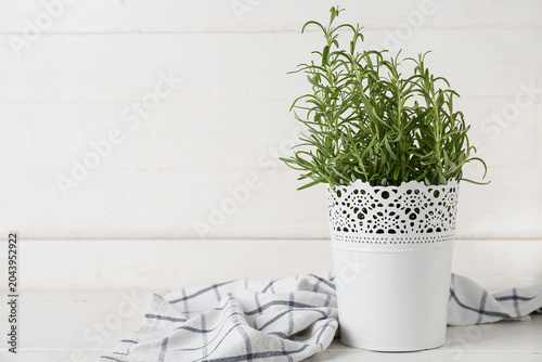 Potted rosemary plant with ...