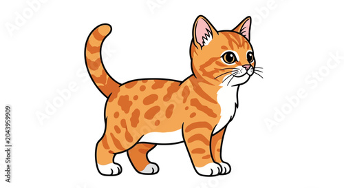 Fotografía Orange Tabby Cat Standing Alone.