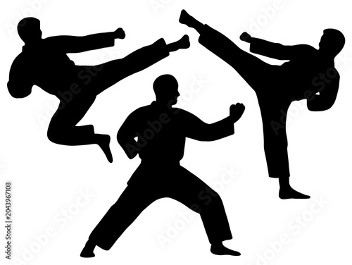 Silhouette of martial artists performing dynamic karate kicks