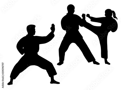 Silhouette of Martial Artists Practicing Karate Moves in Action