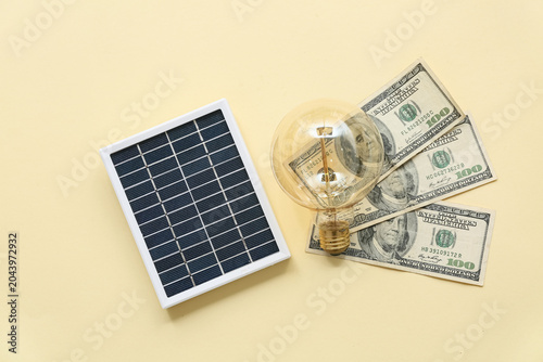 Portable solar panel with d...