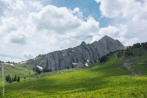 Grassy meadow and conifer trees on green hills against high rock mountain wall under lush clouds in blue sky. Big sharp rocky ridge with sheer crags. Sunlight and shadows in valley in cloudy weather.