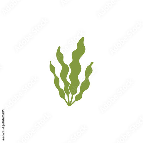 Seaweed plant in the ocean.