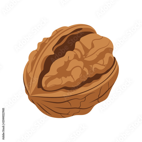 Walnut Shell Open Brown Nut.